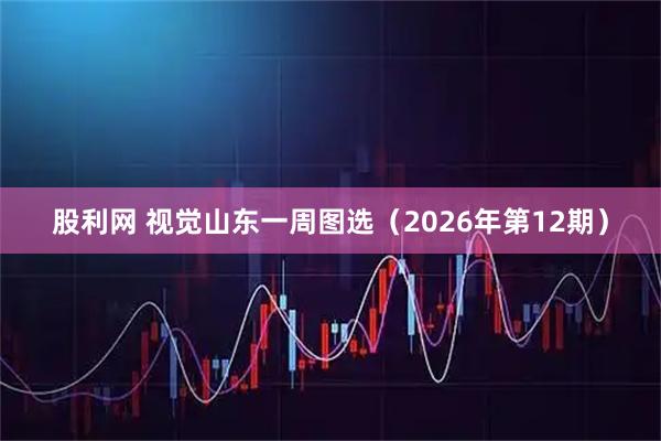 股利网 视觉山东一周图选（2026年第12期）