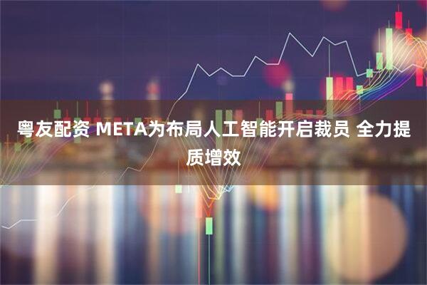 粤友配资 META为布局人工智能开启裁员 全力提质增效